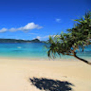 Meet your Posher, Paris